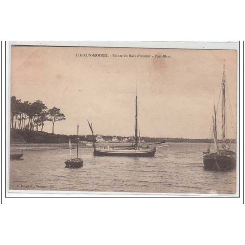 ÎLE AUX MOINES - très bon état