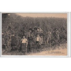 SALINS LES BAINS : les vendanges - la cueillette du raisin - très bon état