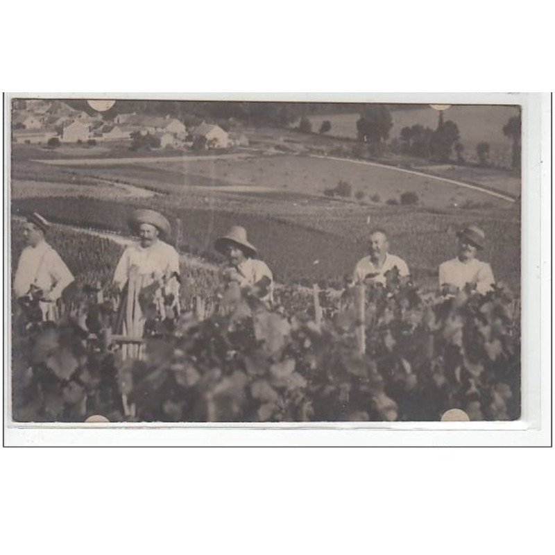 MOUSSY : carte photo des vendanges vers 1900 - bon état (traces au dos)