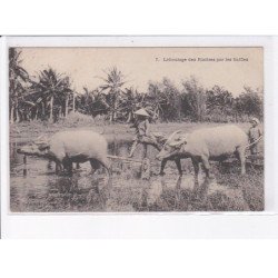 VIETNAM: labourage des rizières par les buffles - très bon état