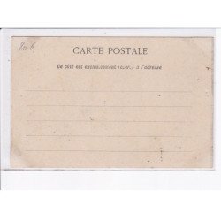 VIETNAM: labourage des rizières par les buffles - très bon état