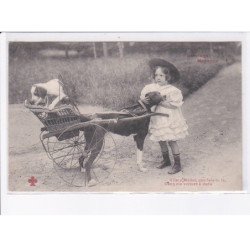 CHIENS : voiture à chien 2 CPA état, lot de 5 CPA - bon état