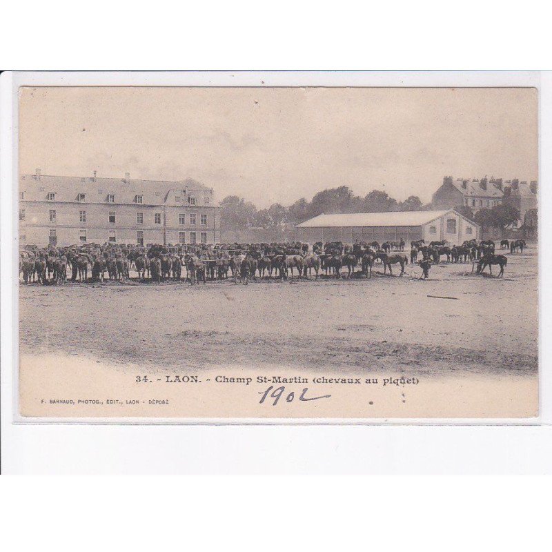 LAON: champ saint-martin (chevaux au piquet) - très bon état