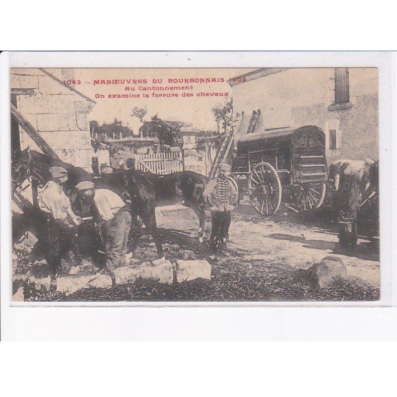 ALLIER: manoeuvres du bourbonnais 1909, au cantonnement on examine la ferrure des chevaux - très bon état