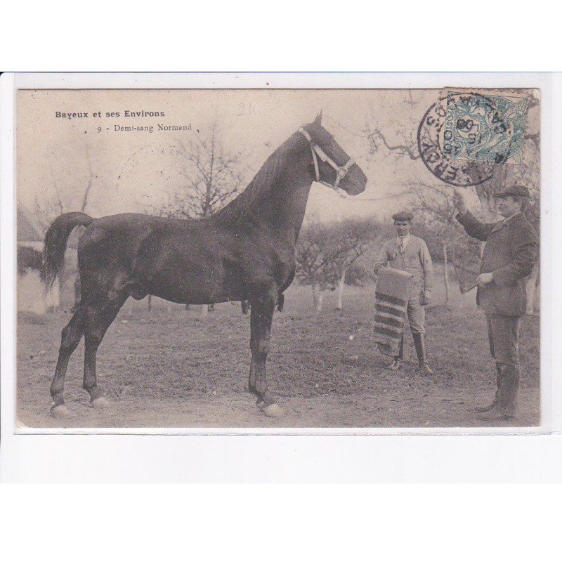 BAYEUX: demi-sang normand - très bon état