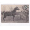 BAYEUX: demi-sang normand - très bon état