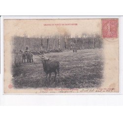 SAINT-SEVER: chasse en forêt, cerf force, pré de la planche au soudier - état