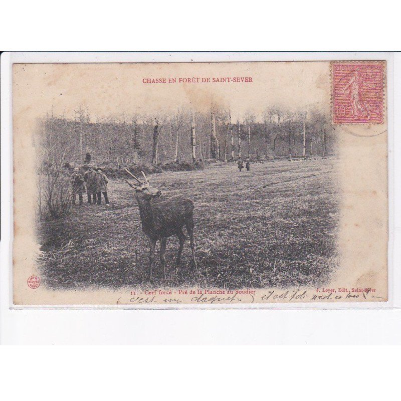 SAINT-SEVER: chasse en forêt, cerf force, pré de la planche au soudier - état