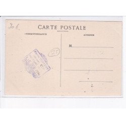 CANTAL: jeune taureau de la race de salers - très bon état