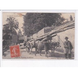 LE PUY EN VELAY: un vendeur de buttes, attelage de boeufs - état