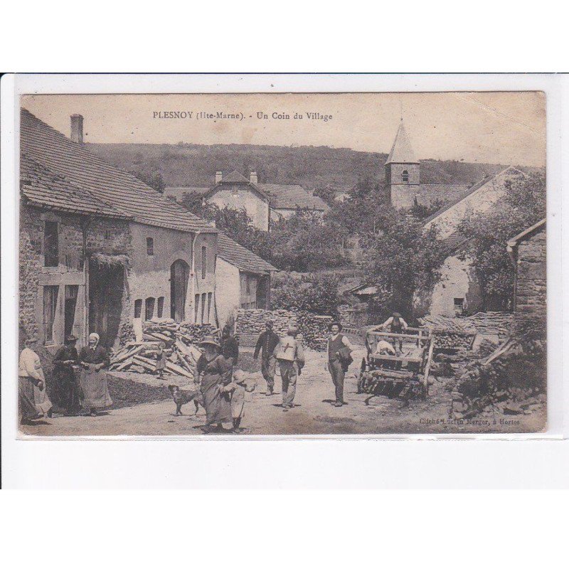 PLESNOY: un coin du village - état