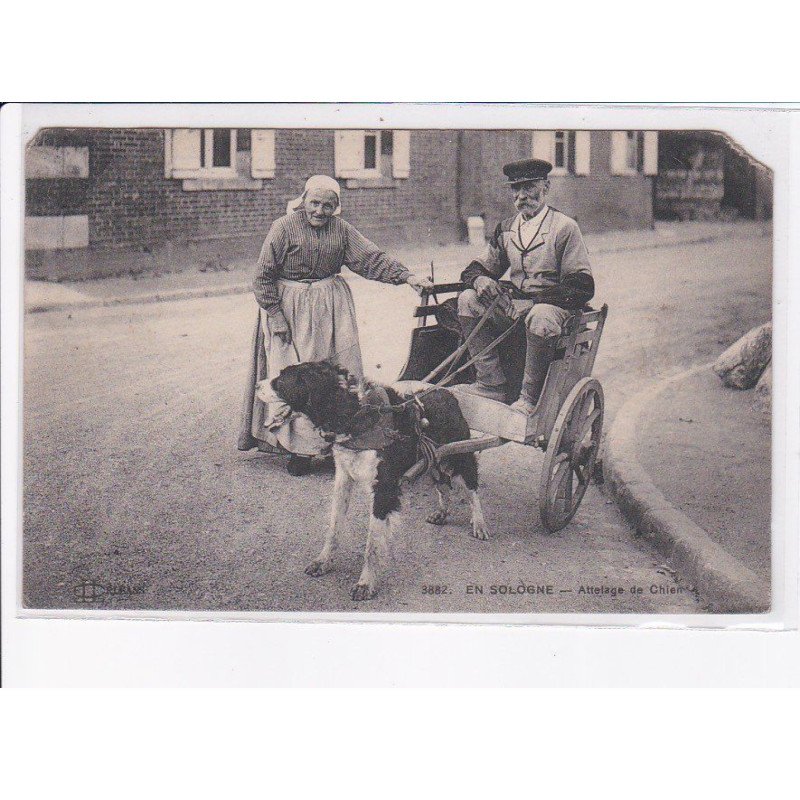 LOIR ET CHER: en sologne, voiture à chien, attelage de chien - état