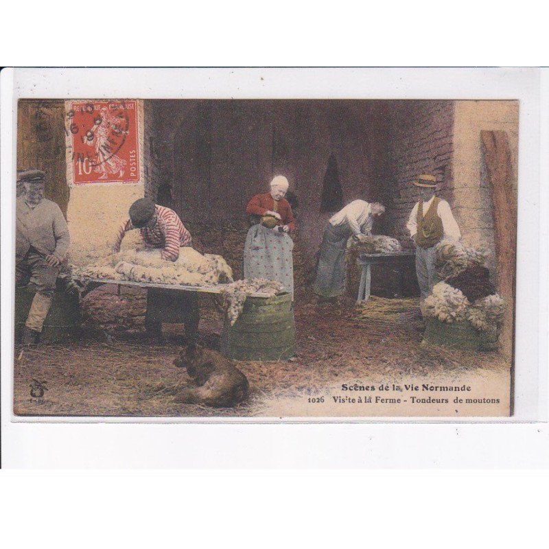 SEINE MARITIME: visite à la ferme, tondeurs de moutons - très bon état