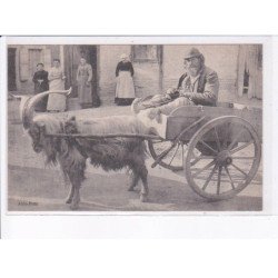 ROCHEFORT-sur-LOIRE: attelage de bouc, auto - très bon état