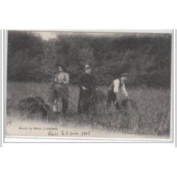LANDES : récolte du millet - très bon état