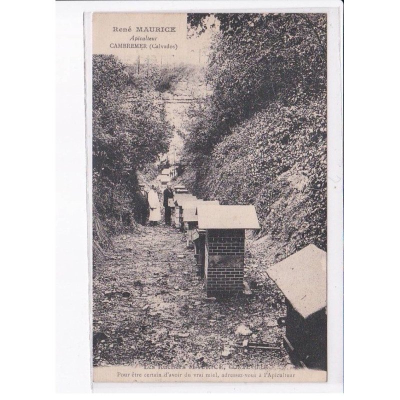 CAMBREMER: rené maurice apiculteur, les ruchers maurice, contreville - état