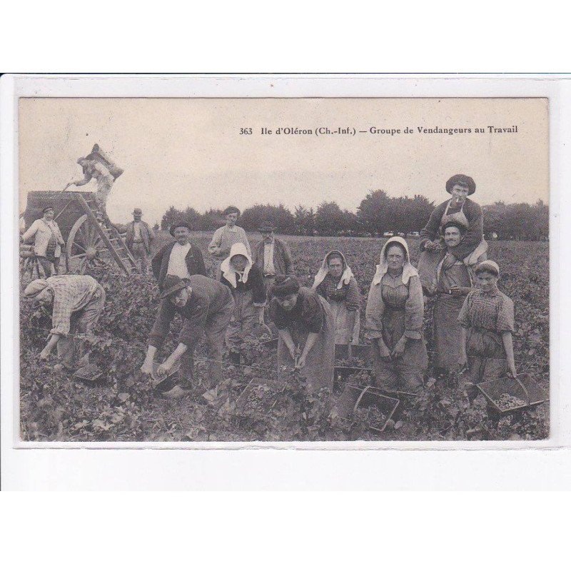 ILE-D'OLERON: groupe de vendangeurs au travail - très bon état