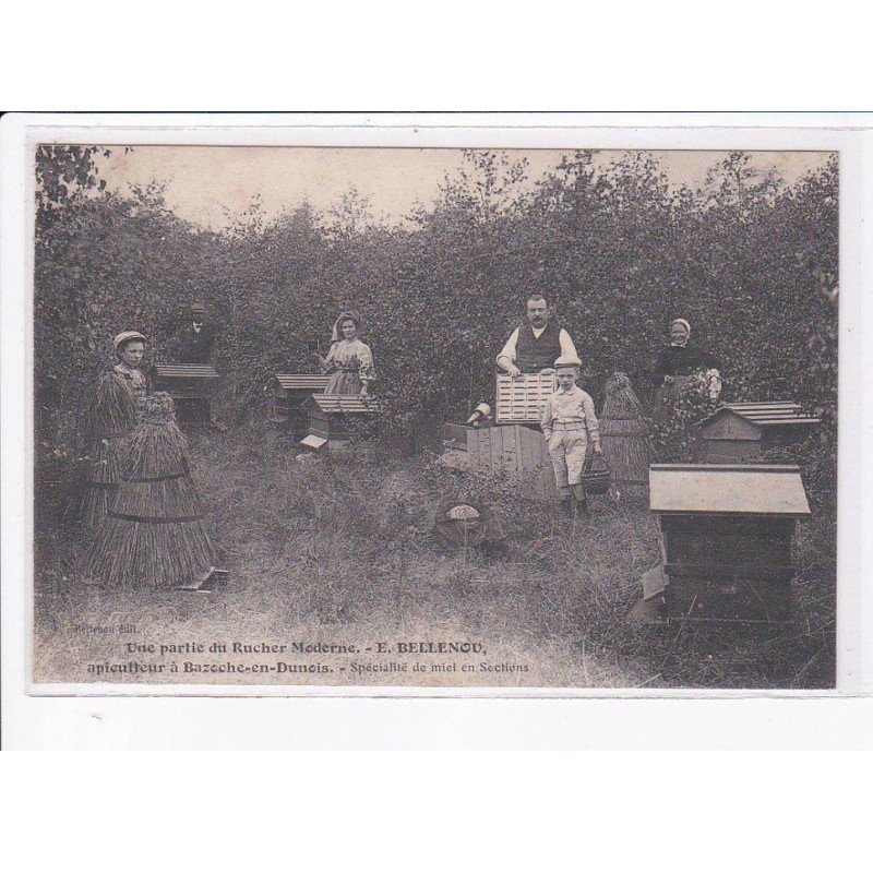 BAZOCHE-en-DUNOIS: une partie du rucher moderne E. Bellenou, apiculteur - état