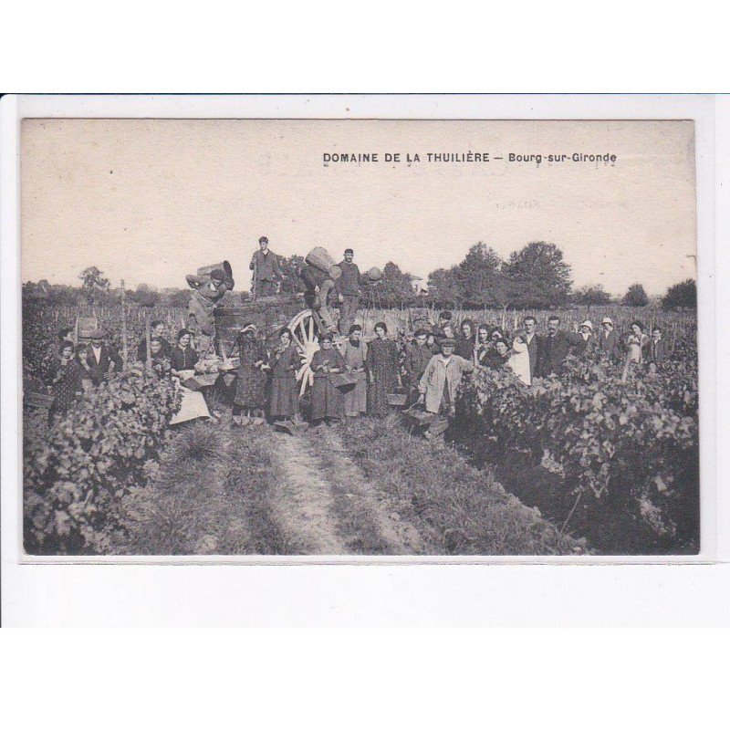 BOURG-sur-GIRONDE: domaine de la thuilière, vendanges - très bon état