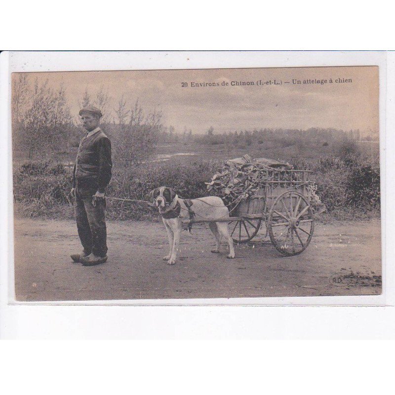 environs CHINON: un attelage à chien, voiture à chien - très bon état