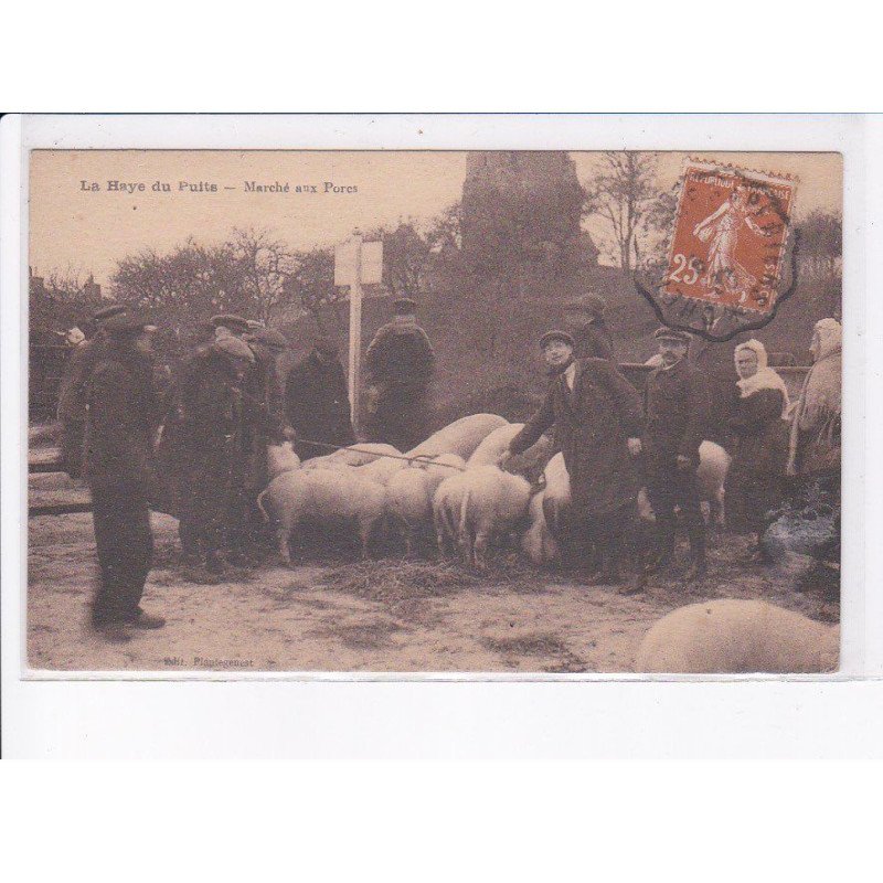 LA HAYE-du-PUITS: marché aux porcs - très bon état