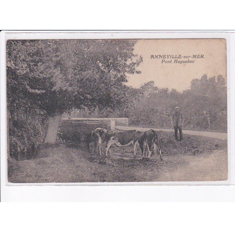 ANNEVILLE-sur-MER: pont haguebec - très bon état
