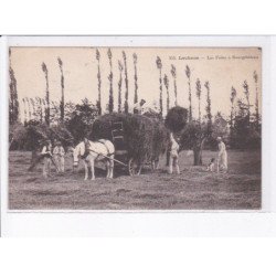 LOUHANS: les foins à bourgchâteau - très bon état