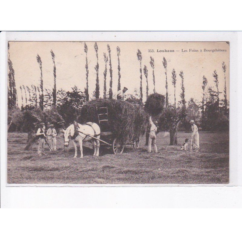 LOUHANS: les foins à bourgchâteau - très bon état