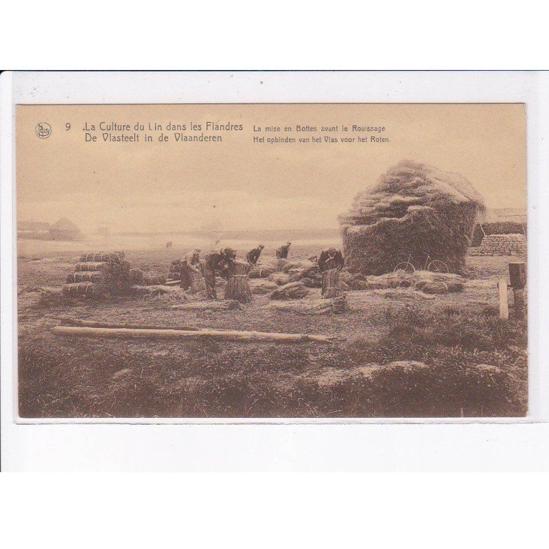 BELGIQUE: FLANDRE OCCIDENTALE: la culture du lin dans les flandres, la mise en bottes avant le rouissage - très bon état