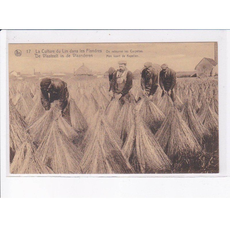 BELGIQUE: FLANDRE OCCIDENTALE: la culture du lin dans les flandres, on retourne les carpettes - très bon état