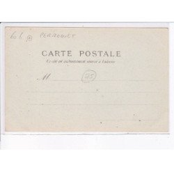 PARIS: parle t'il bien? perroquet - très bon état