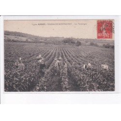 CHASSAGNE-MONTRACHET: vignes amiot, les vendanges - très bon état