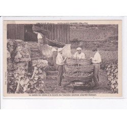 NUITS-SAINT-GEORGES: grivot frères, la rentrée des raisins à la cuverie des vaucrains - très bon état