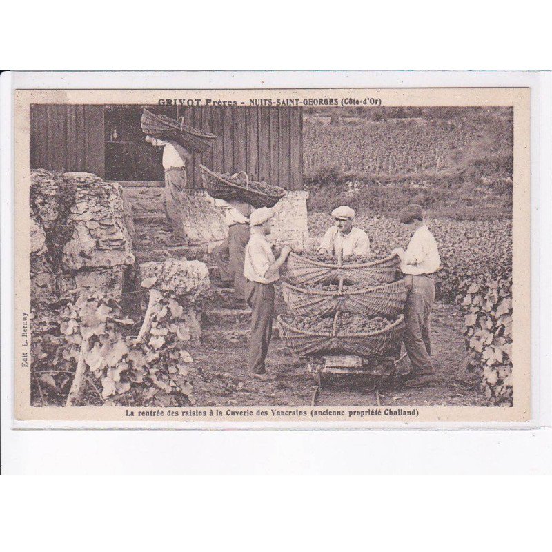 NUITS-SAINT-GEORGES: grivot frères, la rentrée des raisins à la cuverie des vaucrains - très bon état