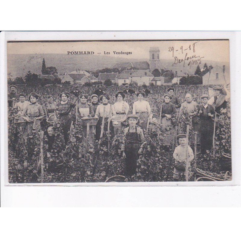 POMMARD: les vendanges - très bon état