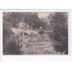 AGUILCOURT: le moulin et ses dépendances, M. Vigreux, les jeunes boeufs à l'abreuvoir - très bon état