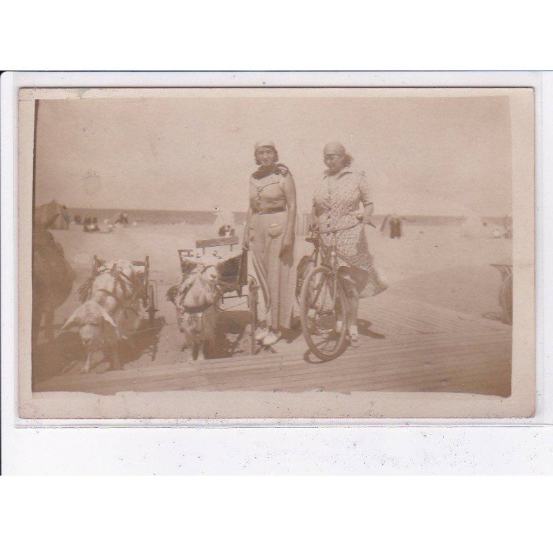 SAINT-AUBIN-sur-MER: attelage de chèvre - très bon état