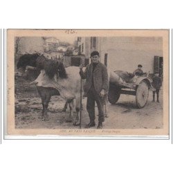 AU PAYS BASQUE : attelage basque - très bon état