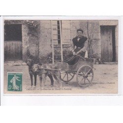 THENAY: le courrier de thenay à pontlevoy, voiture à chien - très bon état