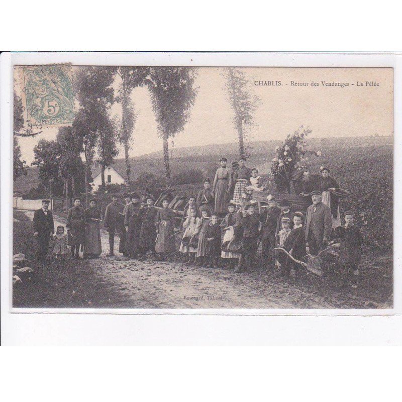 CHABLIS: retour des vendanges, la pêlée - très bon état