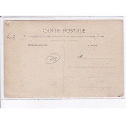 SAÔNE et LOIRE: les vendanges en mâconnais, le goution