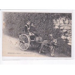 BOURGUEIL: attelage de chien, voiture à chien - état