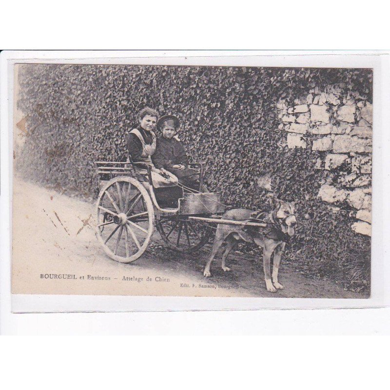BOURGUEIL: attelage de chien, voiture à chien - état