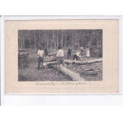 BEAUMONT-le-ROGER: la forêt en exploitation - très bon état