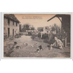 ASPACH LE HAUT - CHATS - très bon état