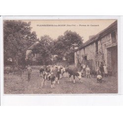 PLOMBIERES-les-DIJON: ferme de coutard, vaches - très bon état