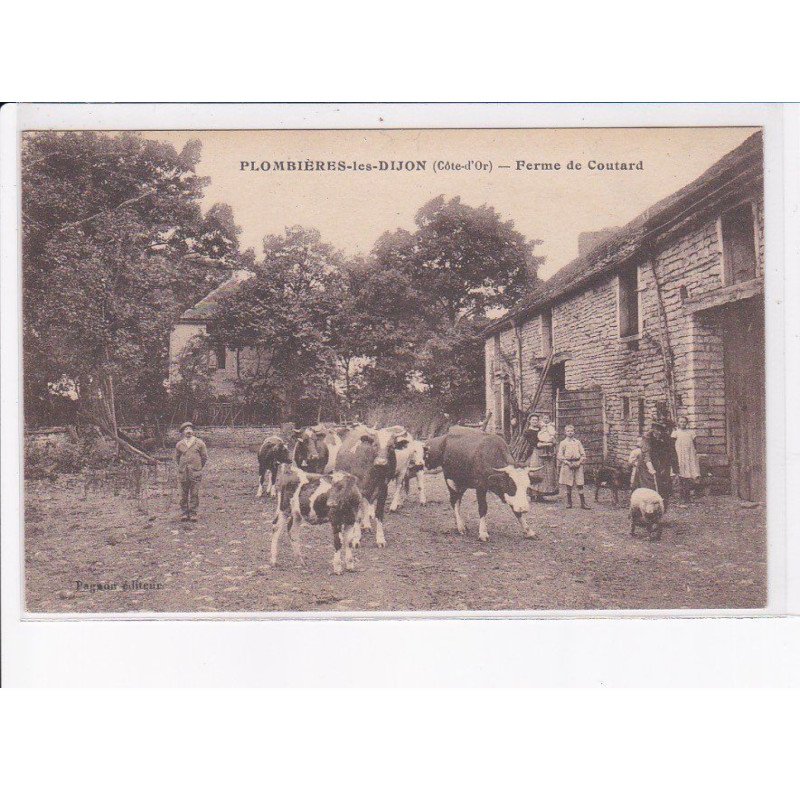 PLOMBIERES-les-DIJON: ferme de coutard, vaches - très bon état