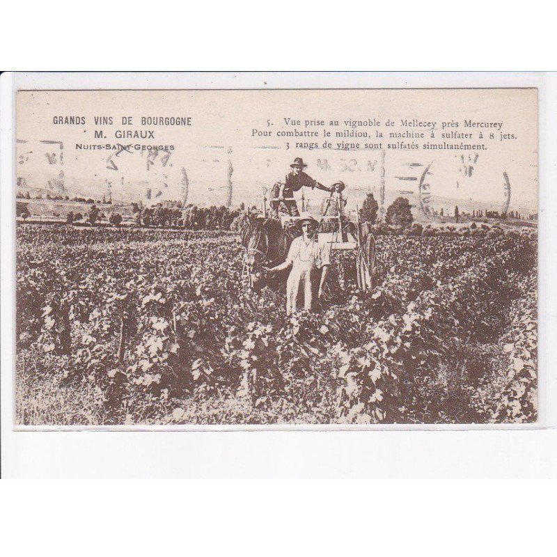NUITS-SAINT-GEORGES: grands vins de bourgogne, M. Giraux - très bon état