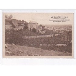 NUITS-SAINT-GEORGES: le chateau-gris grand cru domaine exlusif lupé-cholet  - très bon état