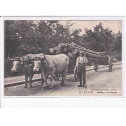 SEMUR: attelage de boeufs - très bon état